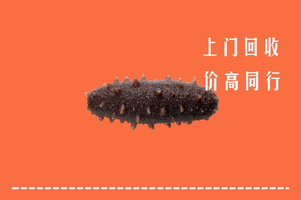 高价求购：阿勒泰回收海参